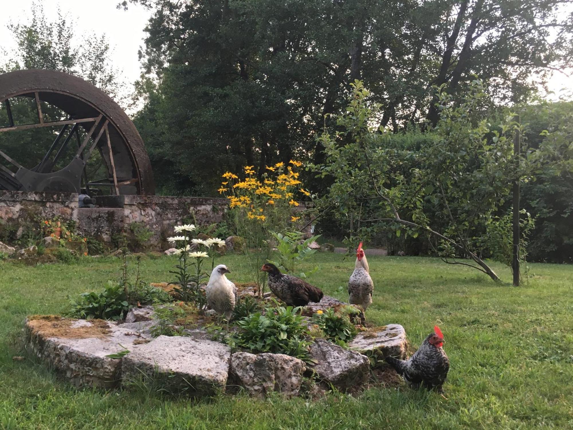 Le Moulin De Razou Acomodação com café da manhã Brassy Exterior foto